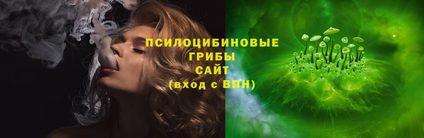 крисы Зеленокумск