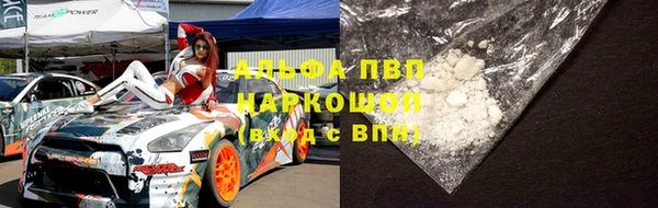крисы Зеленокумск