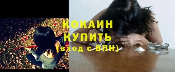 крисы Зеленокумск